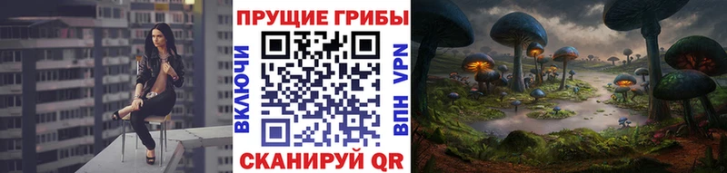 Купить закладки  Шумиха  Галлюциногенные грибы ЛСД 